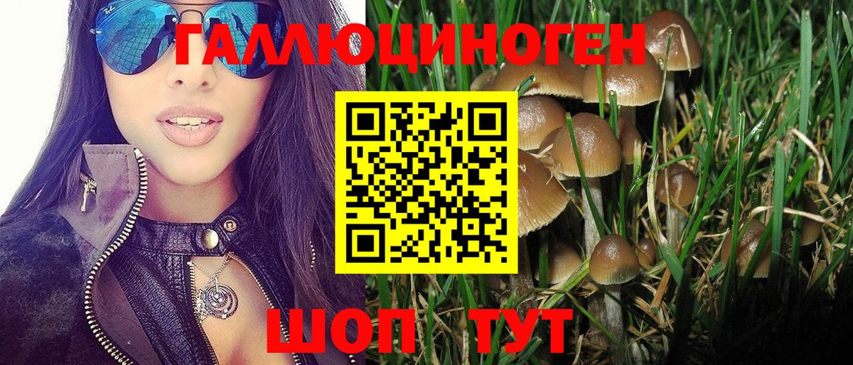 Псилоцибиновые грибы GOLDEN TEACHER  Вход с VPN  где найти   Калач-на-Дону 