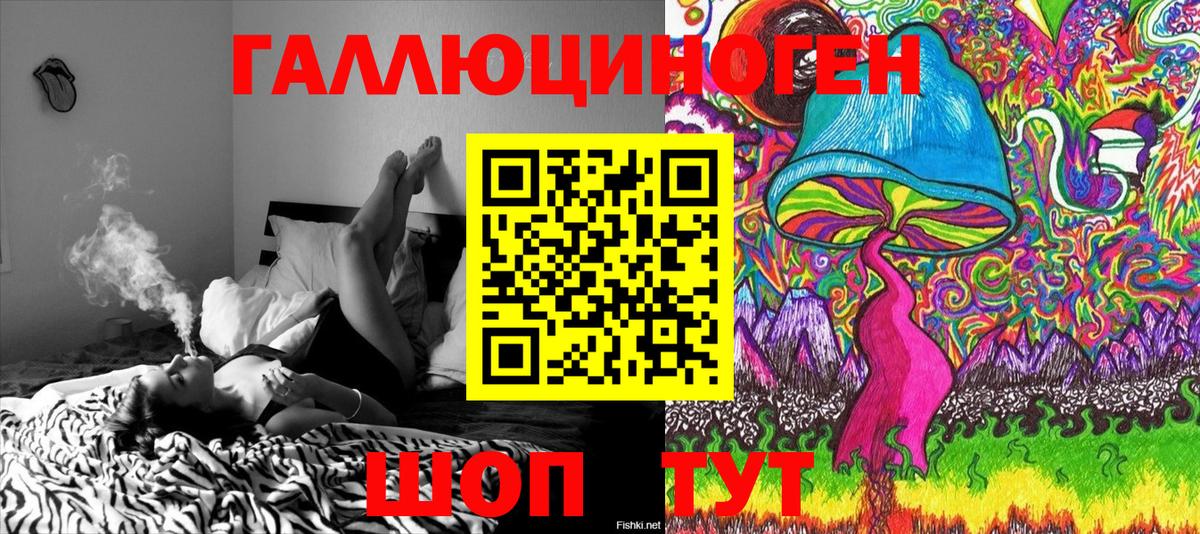 Галлюциногенные грибы Psilocybe Калач-на-Дону
